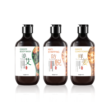 conjunto de shampoo anti queda de cabelo natural gengibre